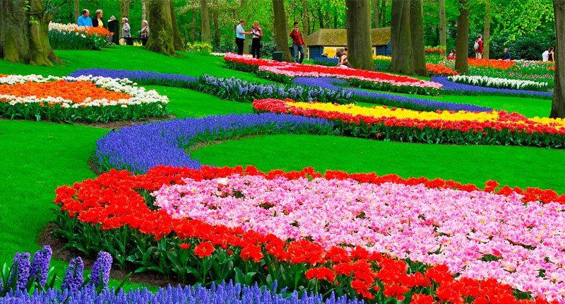 Horóscopo de hoy martes 12 de noviembre