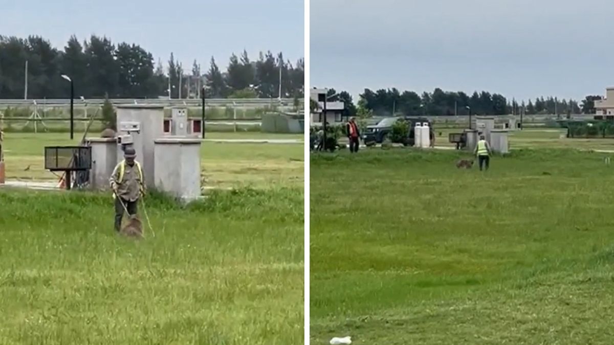 Un grupo de hombres golpeó a un carpincho en un country de Canning en Buenos Aires.