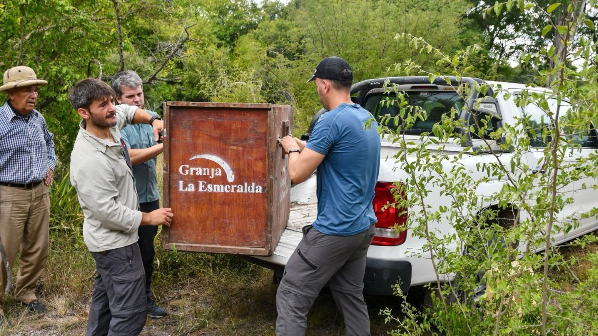 La Granja La Esmeralda pasaría a ser un Centro de Rescate, Interpretación e Investigación de Fauna. La Granja La Esmeralda pasaría a ser un Centro de Rescate, Interpretación e Investigación de Fauna.