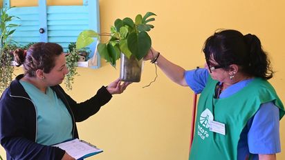 Dengue en Santa Fe: en 11 barrios de la ciudad se detectó la presencia del vector transmisor