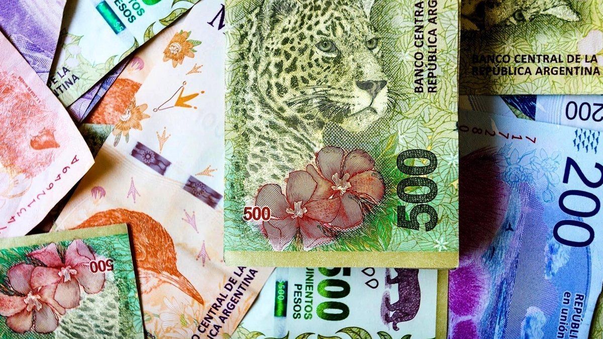 Los nuevos billetes tendrán la figura de Juana Azurduy