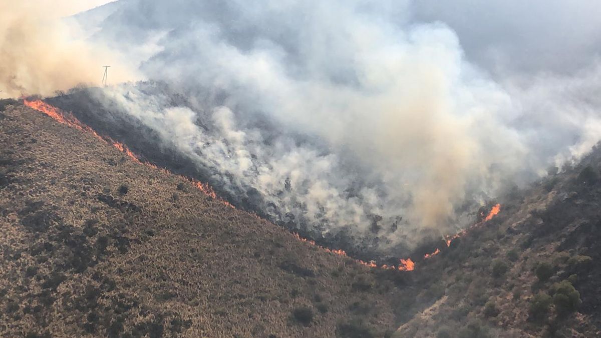 Durante la madrugada