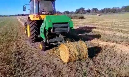 Los “mini rollos” tienen 25 a 30 kilos, como un fardo. Los “mini rollos” tienen 25 a 30 kilos, como un fardo.