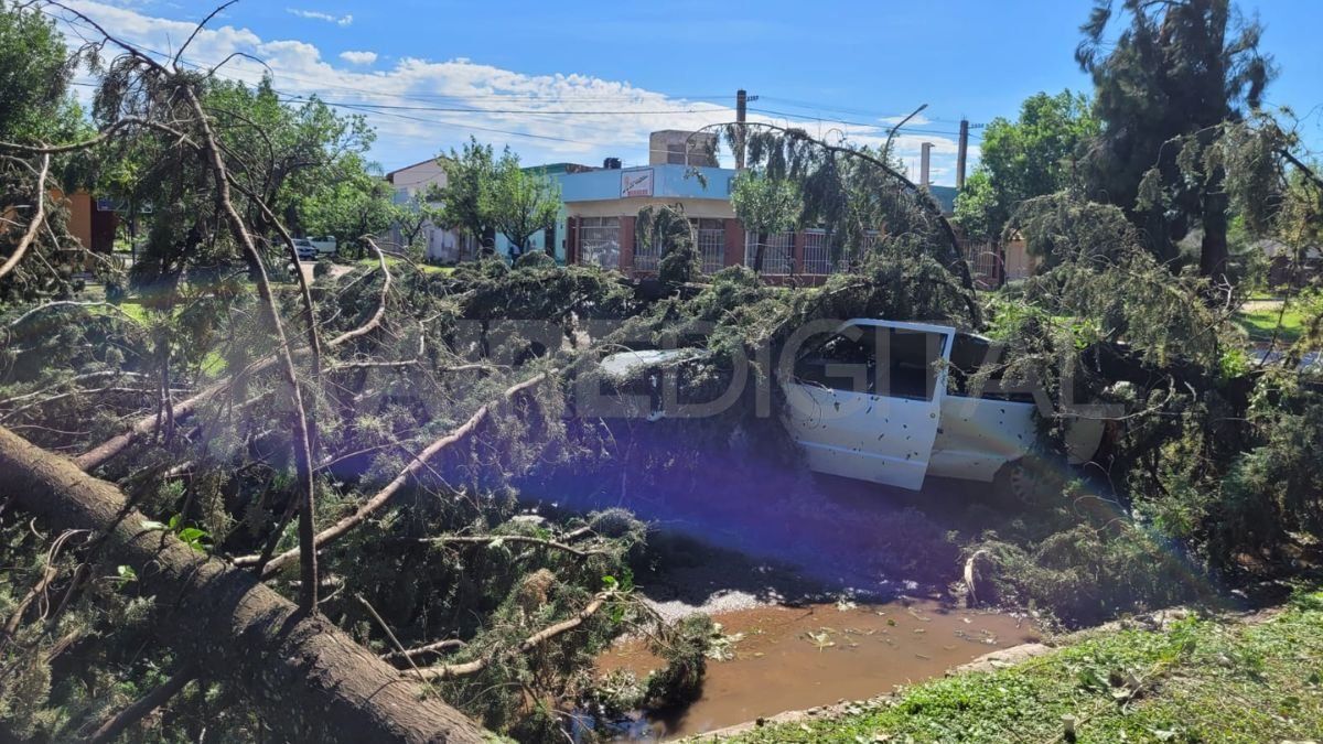 Se trabaja en el trozado de ramas y troncos de los árboles caídos que impiden la circulación. Se trabaja en el trozado de ramas y troncos de los árboles caídos que impiden la circulación.