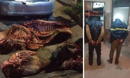 Ocurrió en la zona de Riobamba al 8200, en el norte de Santa Fe. Dos hombres fueron aprehendidos tras un patrullaje y en su vehículo hallaron un animal faenado. Ocurrió en la zona de Riobamba al 8200, en el norte de Santa Fe. Dos hombres fueron aprehendidos tras un patrullaje y en su vehículo hallaron un animal faenado.