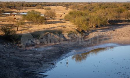 La bajante del río Salado preocupa a la provincia por la posibilidad de un escenario crítico que complique el servicio de agua en el departamento 9 de Julio. La bajante del río Salado preocupa a la provincia por la posibilidad de un escenario crítico que complique el servicio de agua en el departamento 9 de Julio.