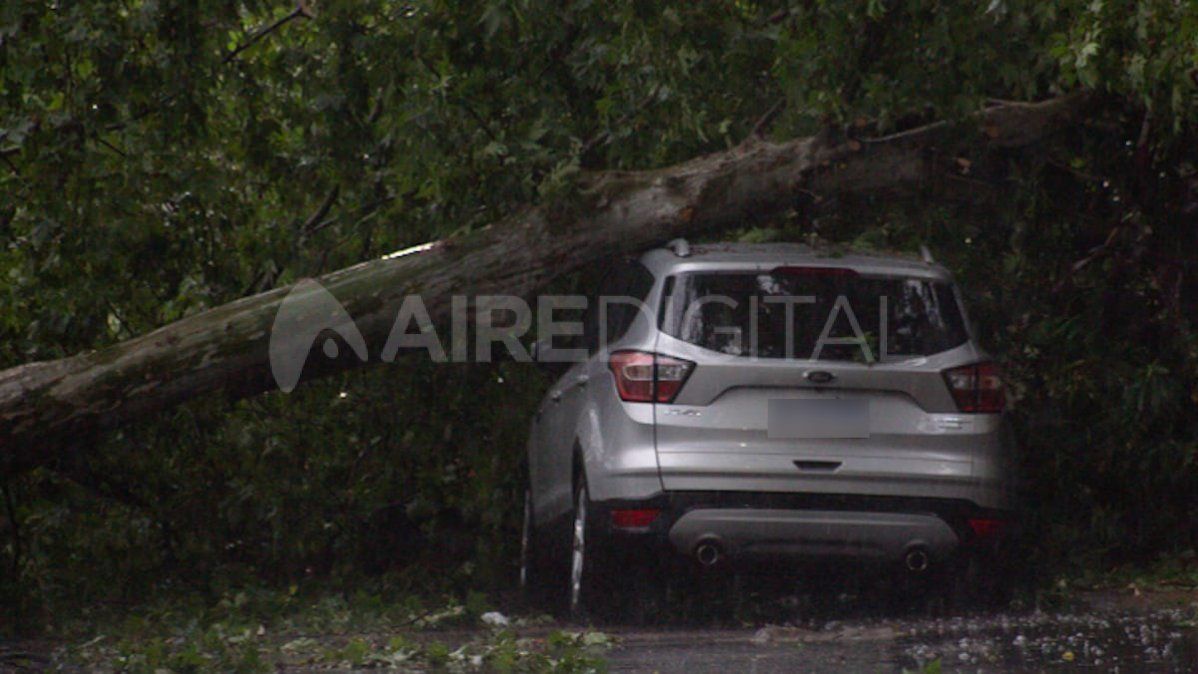 La foto más impactante tras la tormenta del lunes en Santa Fe es la de un auto aplastado por un árbol en calle Chacabuco al 1600.