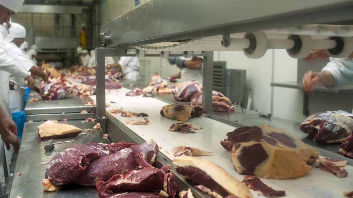 En febrero se faenaron 1