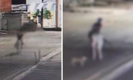 La mujer, de 23 años, fue trasladada incosciente a caballo antes de ser asesinada. La mujer, de 23 años, fue trasladada incosciente a caballo antes de ser asesinada.
