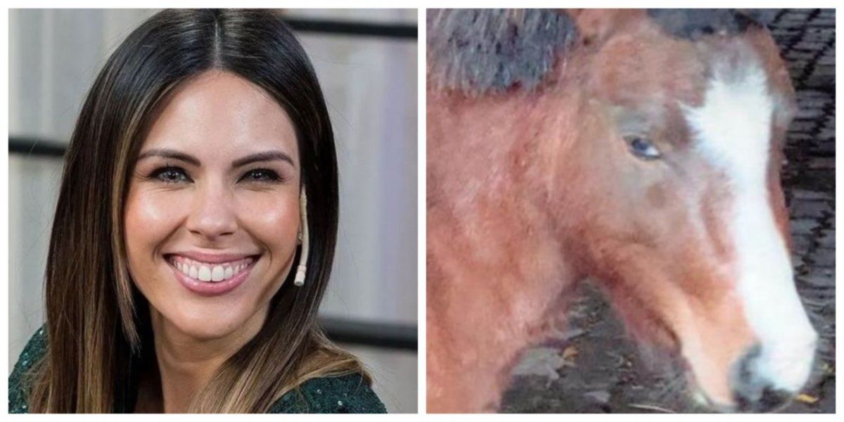 Barby Franco mostr&oacute; su nuevo look y se compar&oacute; con su caballo.