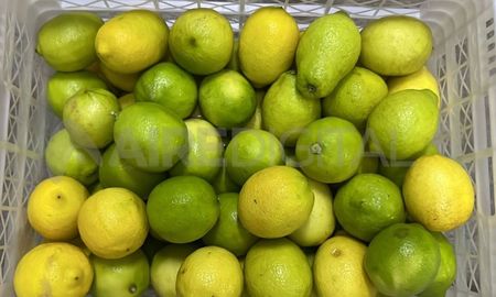El ácido precio del limón en Santa Fe: en algunas verdulerías el kilo se consigue desde $6.000 en adelante. El ácido precio del limón en Santa Fe: en algunas verdulerías el kilo se consigue desde $6.000 en adelante.