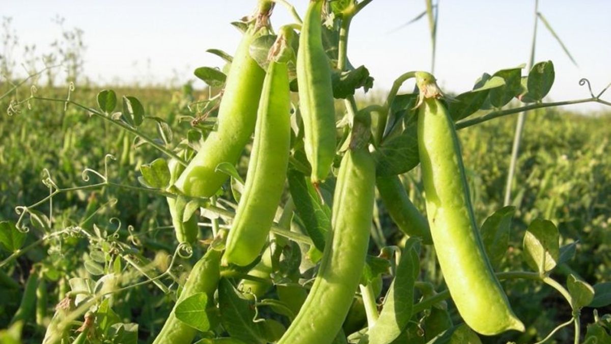 Los objetivos para 2021 que incluyen aspectos relacionados con la calidad