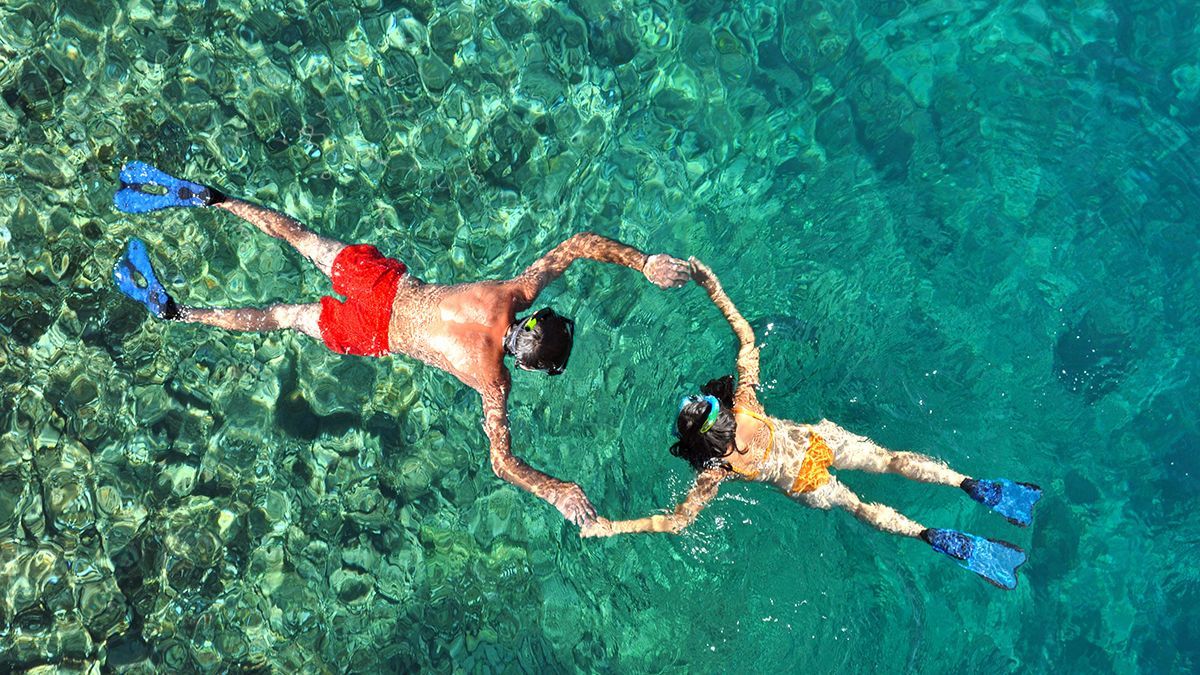 La visibilidad del agua en esta zona del Caribe permite la observación de corales y especies tropicales sin necesidad de equipos complejos, convirtiéndola en un laboratorio natural para el ecoturismo. La visibilidad del agua en esta zona del Caribe permite la observación de corales y especies tropicales sin necesidad de equipos complejos, convirtiéndola en un laboratorio natural para el ecoturismo.
