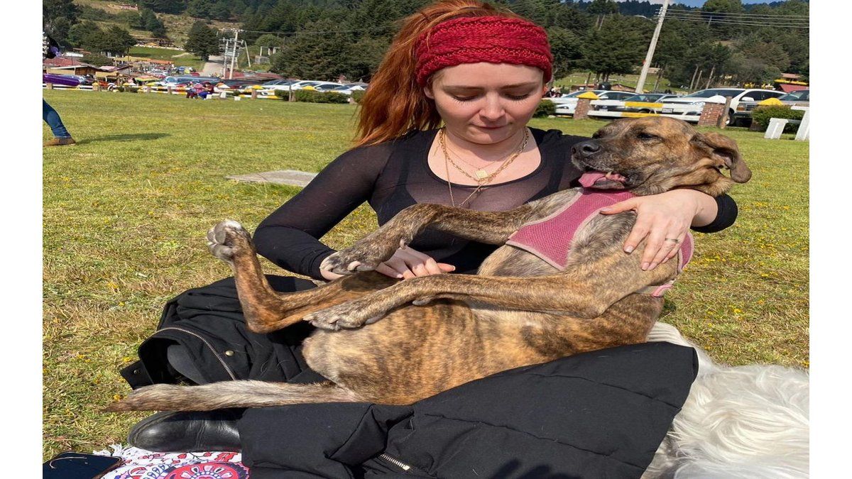 Ariadne Díaz presenció el ataque mortal de un cocodrilo a su mascota.