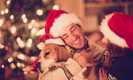 Cómo cuidar a tus mascotas en Navidad. Cómo cuidar a tus mascotas en Navidad.