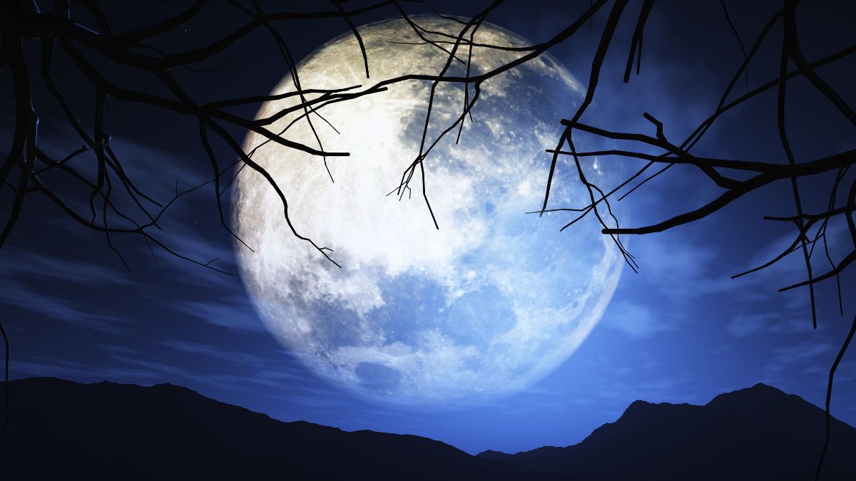 Luna de Nieve 2025: cuándo y cómo ver la primera Luna Llena del año en Argentina (Foto: Freepik).