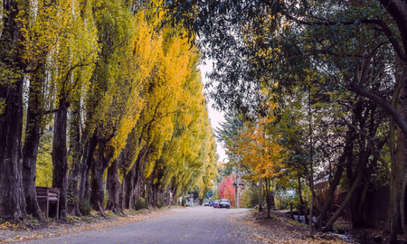 escapada a un pueblo patagonico en rio negro, con paisajes unicos y una gastronomia exquisita escapada a un pueblo patagonico en rio negro, con paisajes unicos y una gastronomia exquisita