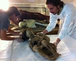 el inedito hallazgo de dos peligrosas momias incas el inedito hallazgo de dos peligrosas momias incas