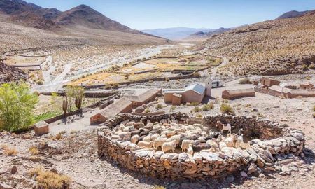 San Antonio de los Cobres, el pintoresco pueblo de Salta con atractivos únicos para visitar en familia. San Antonio de los Cobres, el pintoresco pueblo de Salta con atractivos únicos para visitar en familia.