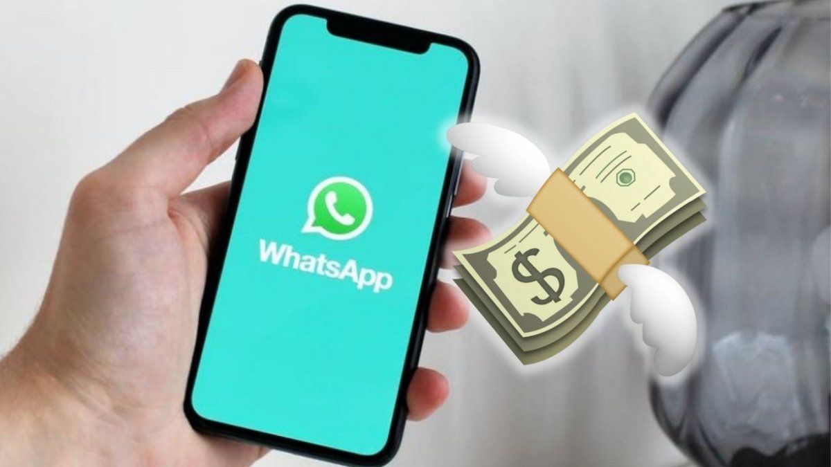 WhatsApp pagará por usar la aplicación: cómo funcionará y quiénes serán los beneficiados