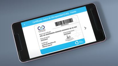 Qué pasa con los Certificados Únicos de Discapacidad en Argentina y cuántos se otorgaron en cada provincia