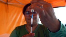 altText(Más de 5.800 personas fueron vacunadas contra la gripe y la neumonía en Santa Fe)}