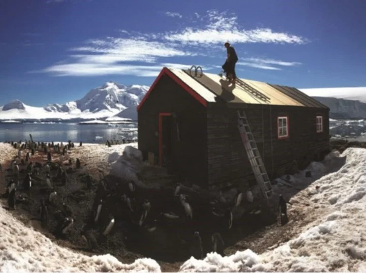 Durante 4 meses deberá contar pingüinos (UKAHT).