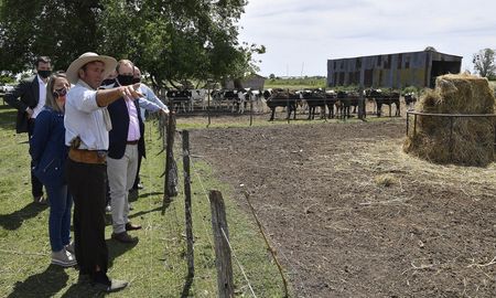 El Plan Ganadero Entrerriano recibió el apoyo de la Federación Agraria y la Sociedad Rural. El Plan Ganadero Entrerriano recibió el apoyo de la Federación Agraria y la Sociedad Rural.