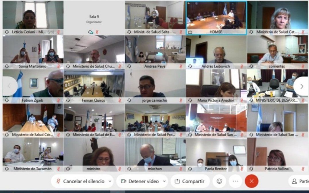 Los ministros de Salud de las provincias participaron del Cofesa de manera virtual.