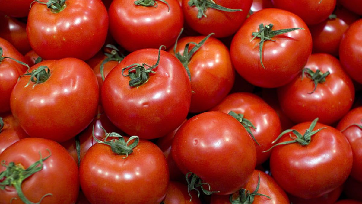 tomates