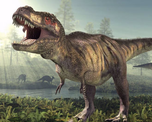 Revelan por qué el Tiranosaurio rex tenía los brazos tan pequeños Revelan por qué el Tiranosaurio rex tenía los brazos tan pequeños