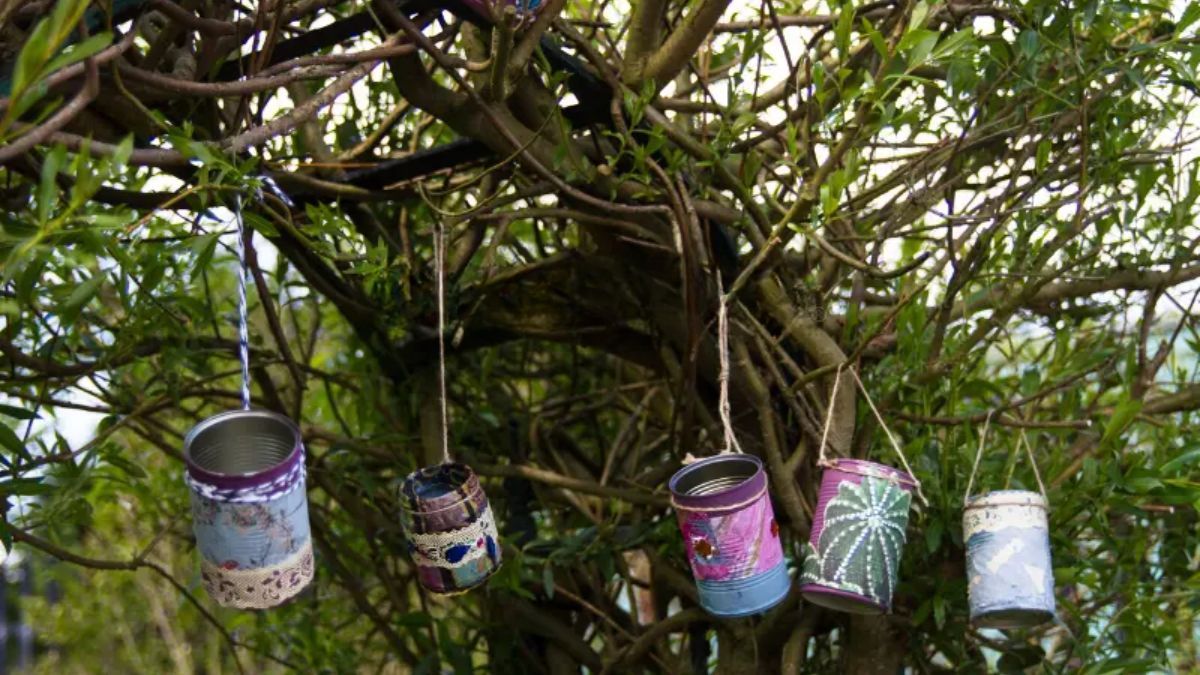 Las latas de aluminio protegen tu jardín y mejoran la energía.