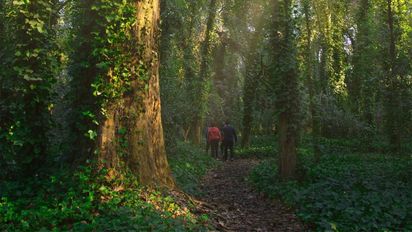Ni Carlos Keen ni Tomás Jofré: el mágico pueblo de Buenos Aires con paisajes y gastronomía