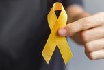 El lazo amarillo se utiliza en todo el mundo con el objetivo de crear conciencia acerca de la prevención del suicidio, un tema que genera cada vez más preocupación en Santa Fe. El lazo amarillo se utiliza en todo el mundo con el objetivo de crear conciencia acerca de la prevención del suicidio, un tema que genera cada vez más preocupación en Santa Fe.