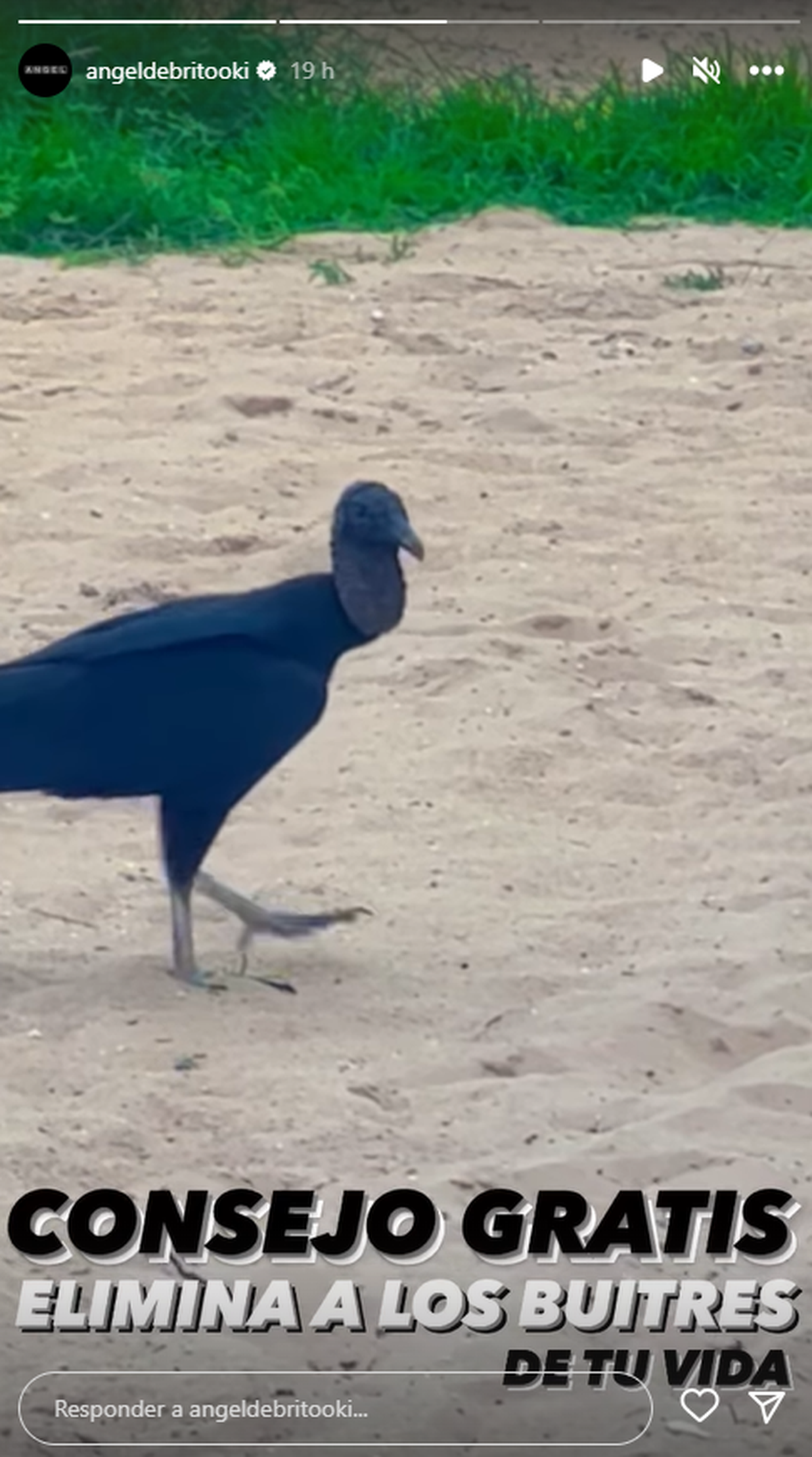 A pesar de estar de vacaciones, Ángel de Brito no deja de tirar indirectas en Instagram. A pesar de estar de vacaciones, Ángel de Brito no deja de tirar indirectas en Instagram.