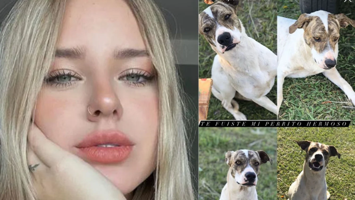 El dolor de Coti Romero de Gran Hermano al contar que mataron a su mascota.