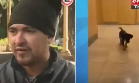Recoleta: le robó el perro a un indigente porque lo tenía en condiciones deplorables y la escracharon en redes sociales Recoleta: le robó el perro a un indigente porque lo tenía en condiciones deplorables y la escracharon en redes sociales