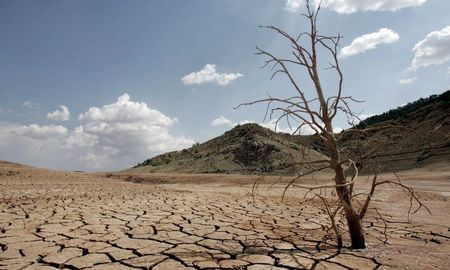 La Agencia Nacional Oceánica y Atmosférica de Estados Unidos confirmó que el martes fue el día más cálido a nivel mundial, alcanzando los 17,18 grados promedio. La Agencia Nacional Oceánica y Atmosférica de Estados Unidos confirmó que el martes fue el día más cálido a nivel mundial, alcanzando los 17,18 grados promedio.