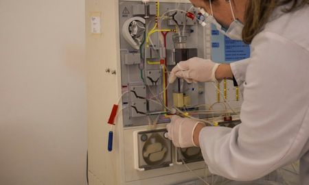 Hoy en la provincia se cuenta con 70 dosis de plasma almacenadas. Hoy en la provincia se cuenta con 70 dosis de plasma almacenadas.