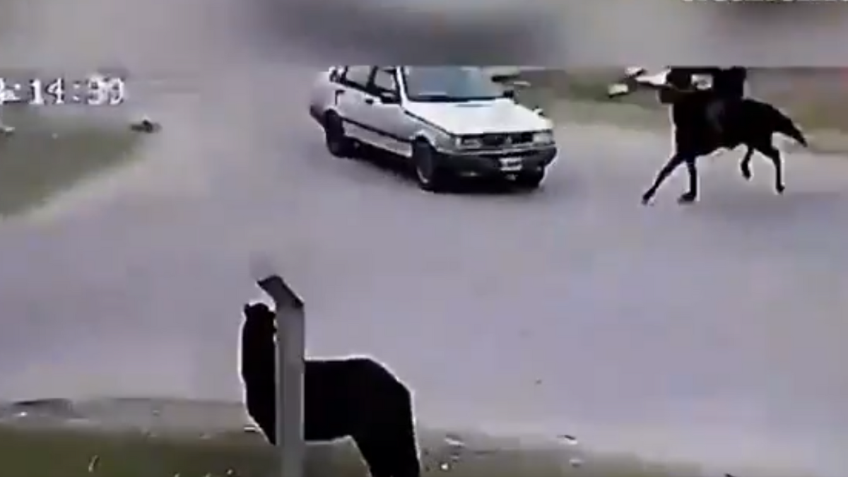 En Rosario