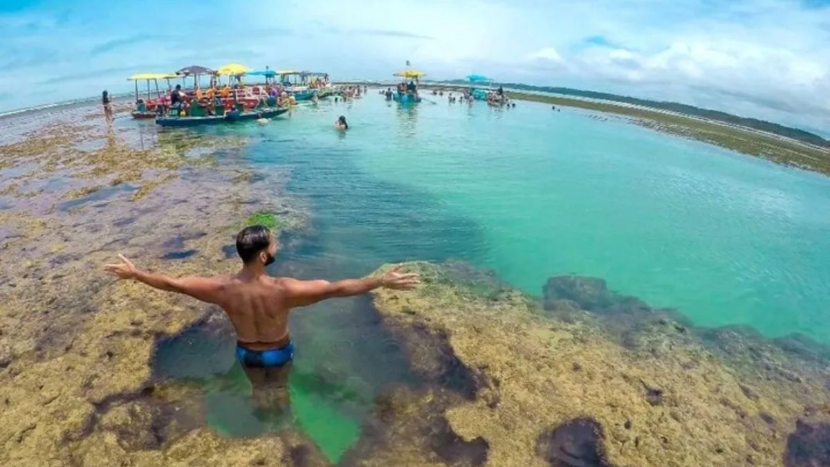 La formación de las famosas piscinas naturales depende del movimiento diario del mar; los guías locales utilizan tablas de mareas precisas para garantizar la mejor visibilidad de los arrecifes de coral.