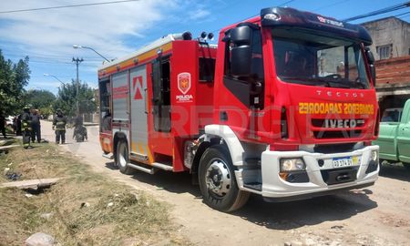 Tras el llamado de los vecinos al 911, Bomberos Zapadores acudieron a barrio San Lorenzo. Tras el llamado de los vecinos al 911, Bomberos Zapadores acudieron a barrio San Lorenzo.
