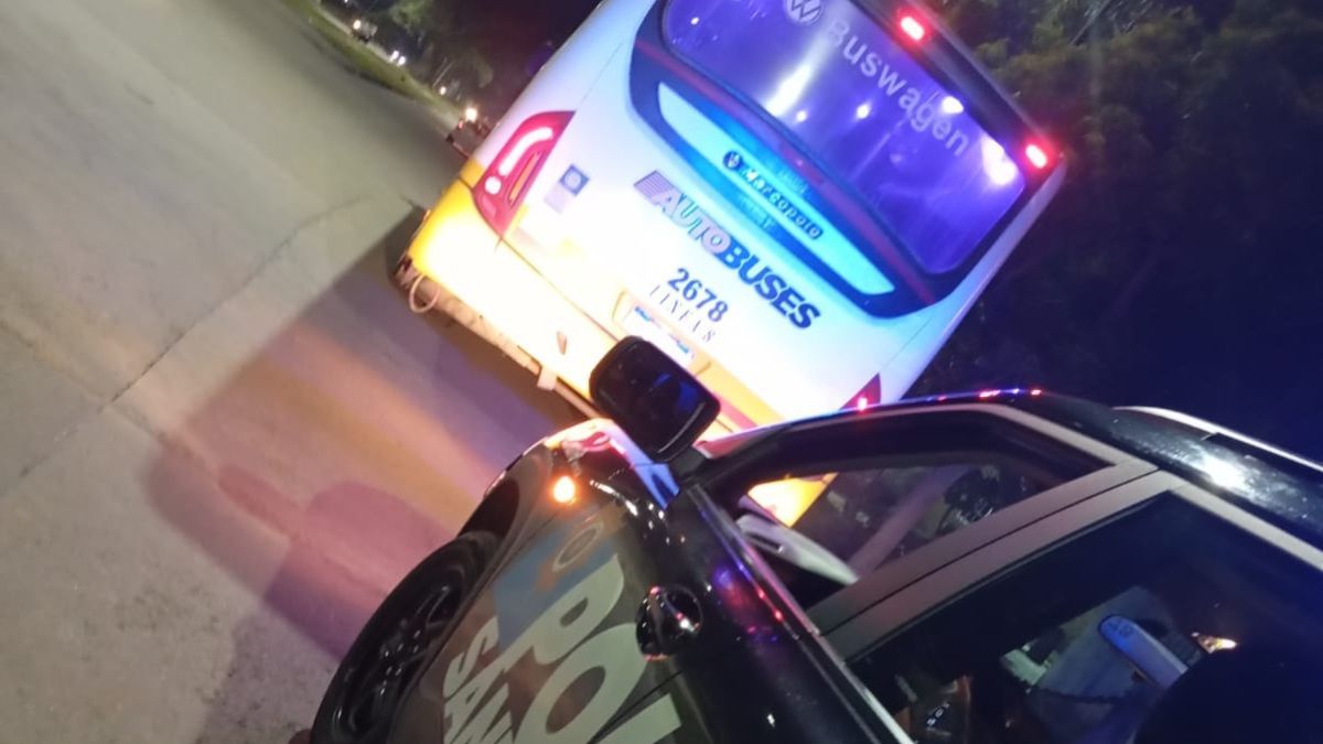 Atacaron a piedrazos a un colectivo de la Línea 8 en barrio Coronel Dorrego de Santa Fe.