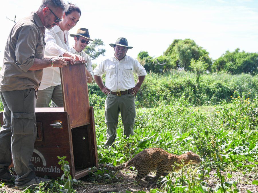 La Ministra Erika Gonnet en la liberación de los ejemplares autóctonos con el equipo de Parque Nacional Islas de Santa Fe.