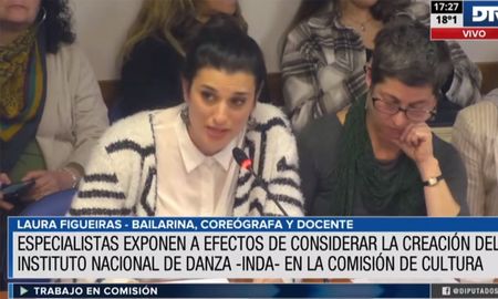 La Comisión de Cultura inició con expositores el debate sobre una Ley Nacional de Danza. La Comisión de Cultura inició con expositores el debate sobre una Ley Nacional de Danza.