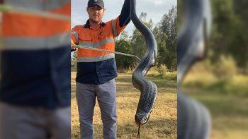 una serpiente negra con el vientre rojo invadio un campo de tiro