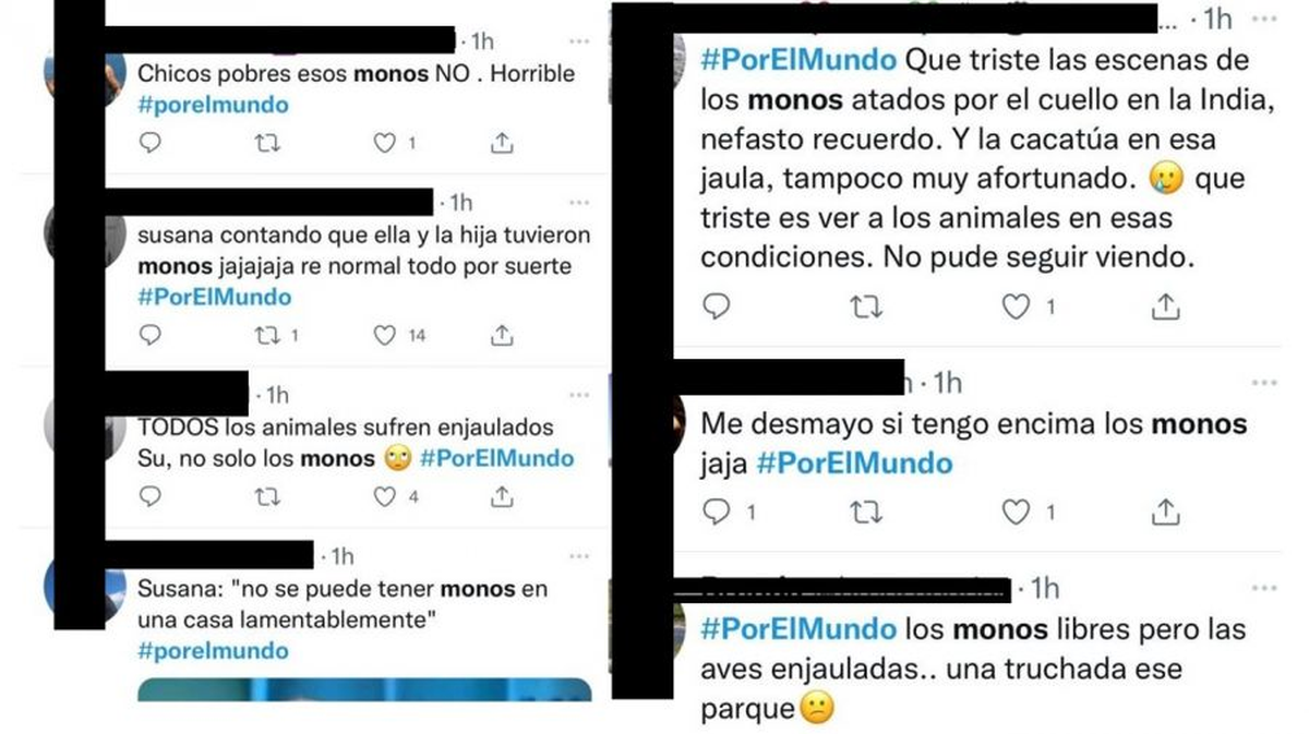 Polémica con Por el Mundo en la red.