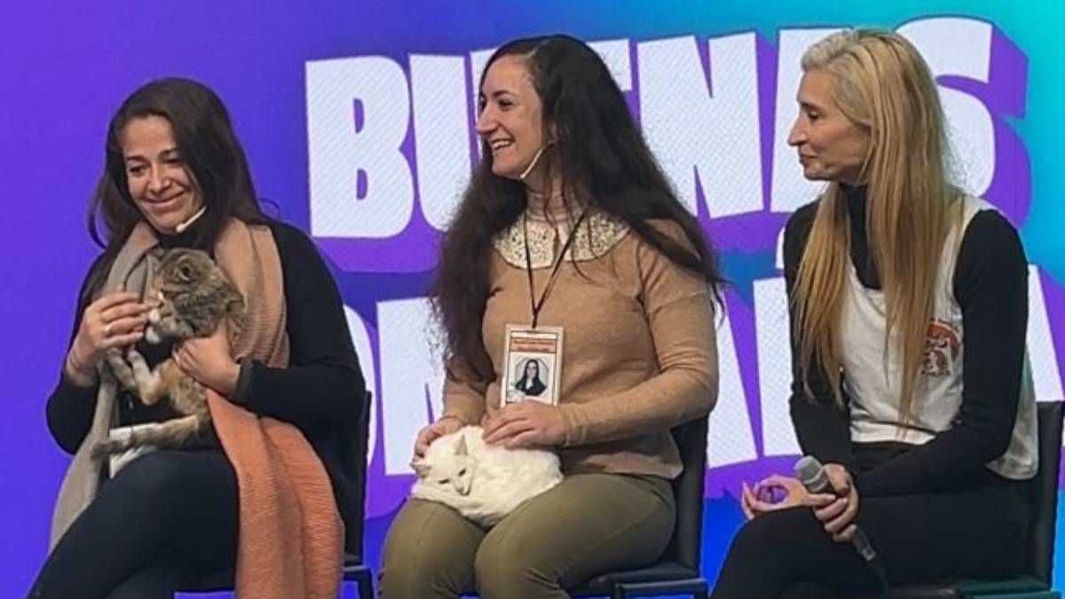 Miembros de Ayuda a un Gato Santa Fe, una asociación que se dedica a rescatar y rehabilitar gatitos. Miembros de Ayuda a un Gato Santa Fe, una asociación que se dedica a rescatar y rehabilitar gatitos.