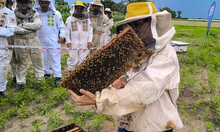 con una gran temporada, la apicultura entusiasma a los productores santafesinos con una gran temporada, la apicultura entusiasma a los productores santafesinos