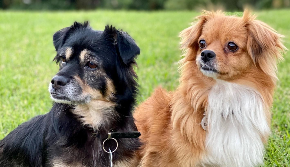 Cuando no está filmando MasterChef, Rodolfo Vera Calderón comparte sus días con Gloria y Delia.